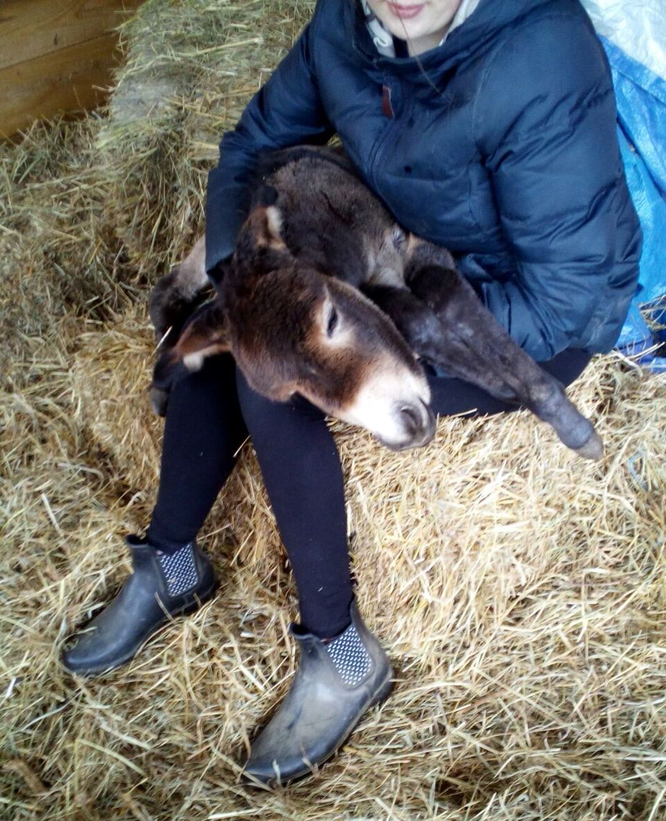 vertrauensvolle Begegnung